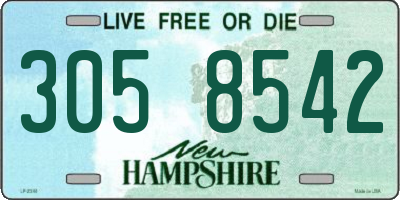 NH license plate 3058542