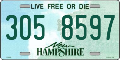 NH license plate 3058597