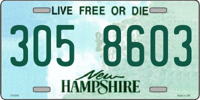 NH license plate 3058603
