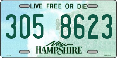 NH license plate 3058623