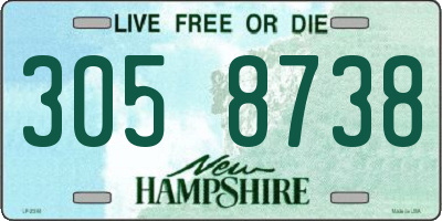NH license plate 3058738