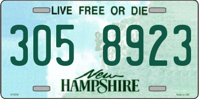 NH license plate 3058923