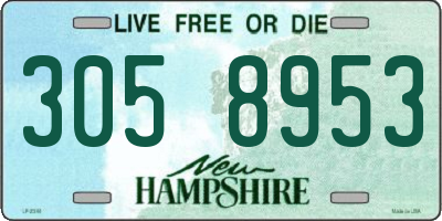 NH license plate 3058953