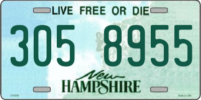 NH license plate 3058955