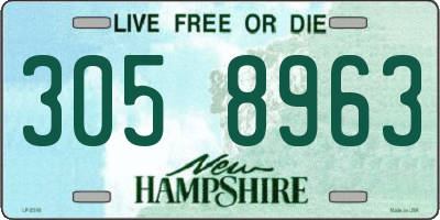 NH license plate 3058963