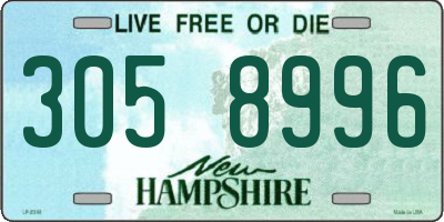 NH license plate 3058996