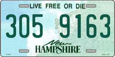 NH license plate 3059163