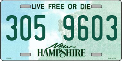 NH license plate 3059603