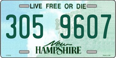 NH license plate 3059607