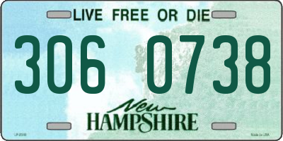 NH license plate 3060738