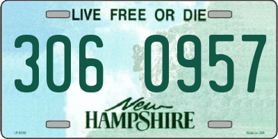 NH license plate 3060957