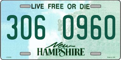 NH license plate 3060960