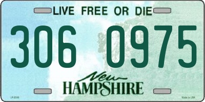 NH license plate 3060975