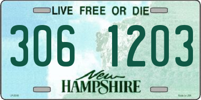 NH license plate 3061203