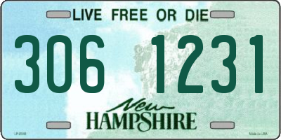 NH license plate 3061231