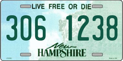 NH license plate 3061238