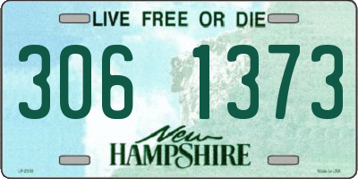 NH license plate 3061373