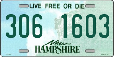 NH license plate 3061603