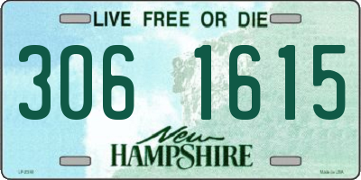 NH license plate 3061615