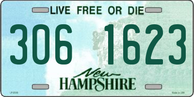 NH license plate 3061623