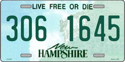 NH license plate 3061645