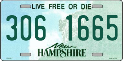 NH license plate 3061665