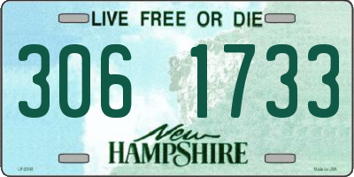 NH license plate 3061733