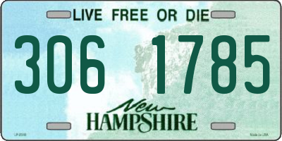 NH license plate 3061785