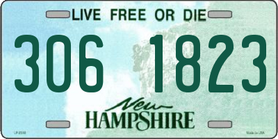 NH license plate 3061823