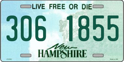 NH license plate 3061855