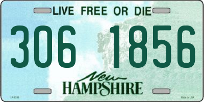 NH license plate 3061856