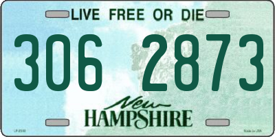 NH license plate 3062873