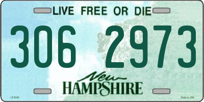 NH license plate 3062973
