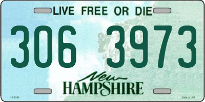 NH license plate 3063973