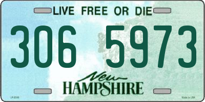 NH license plate 3065973
