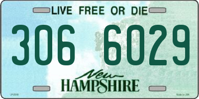 NH license plate 3066029