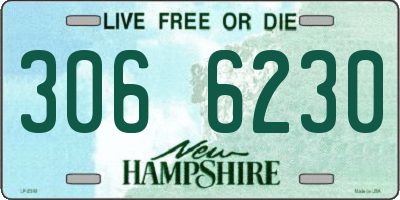 NH license plate 3066230