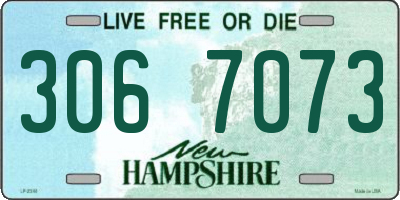 NH license plate 3067073