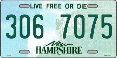 NH license plate 3067075