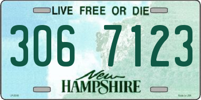 NH license plate 3067123