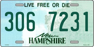 NH license plate 3067231