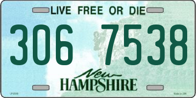 NH license plate 3067538