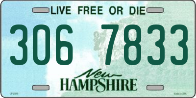 NH license plate 3067833
