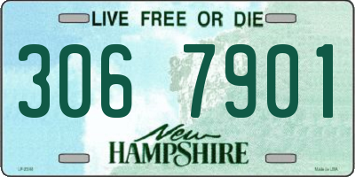 NH license plate 3067901