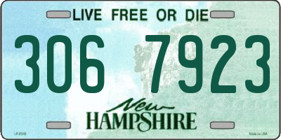 NH license plate 3067923