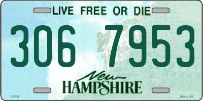 NH license plate 3067953