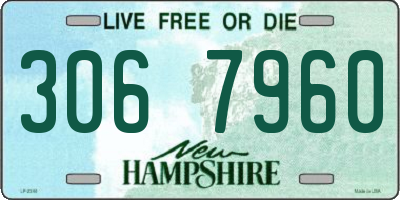 NH license plate 3067960