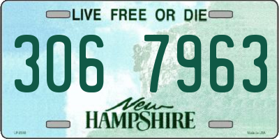 NH license plate 3067963