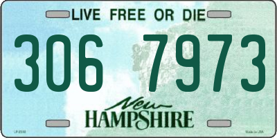 NH license plate 3067973