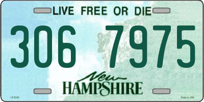 NH license plate 3067975